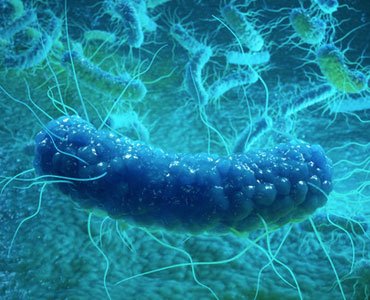Zwalczanie bakterii z grupy Legionella